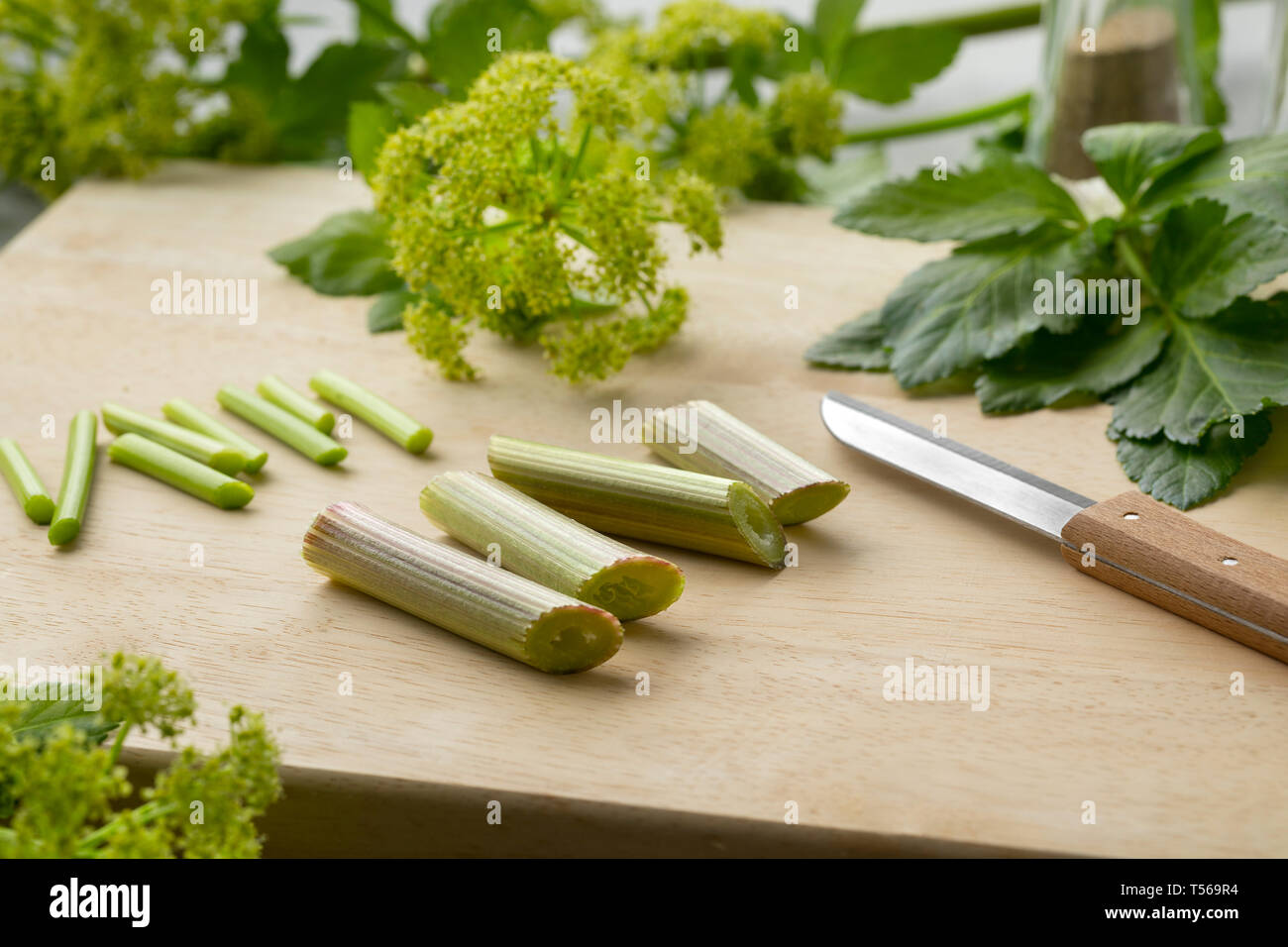 Blooming Alexanders plant cutting to cook as vegetable for dinner Stock Photo