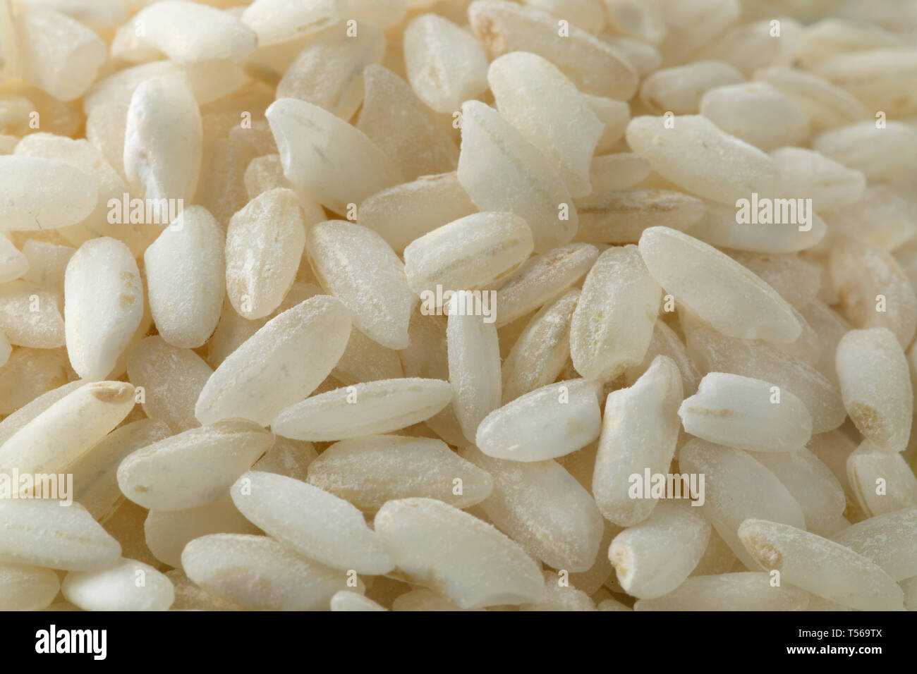Italian Carnaroli risotto rice close up full frame Stock Photo Alamy