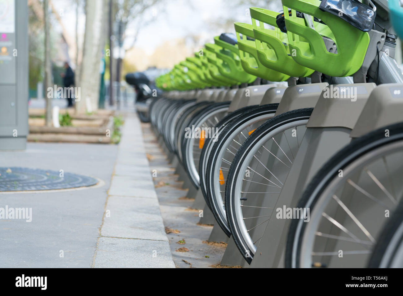 Bicycle for rent, number of wheels is on parking Stock Photo Alamy