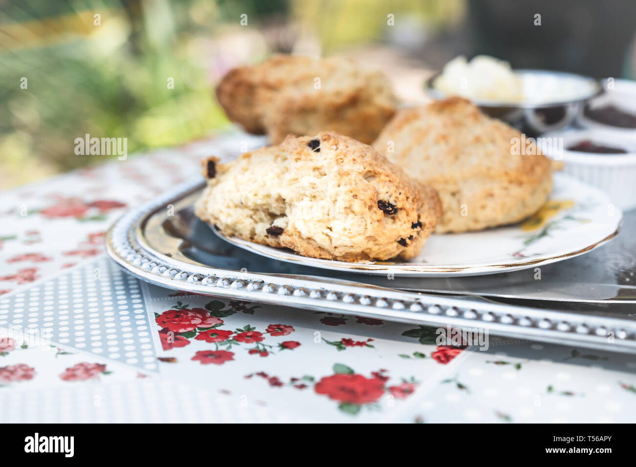 Scones with jam on for an English afternoon tea at a garden teashop. Stock Photo