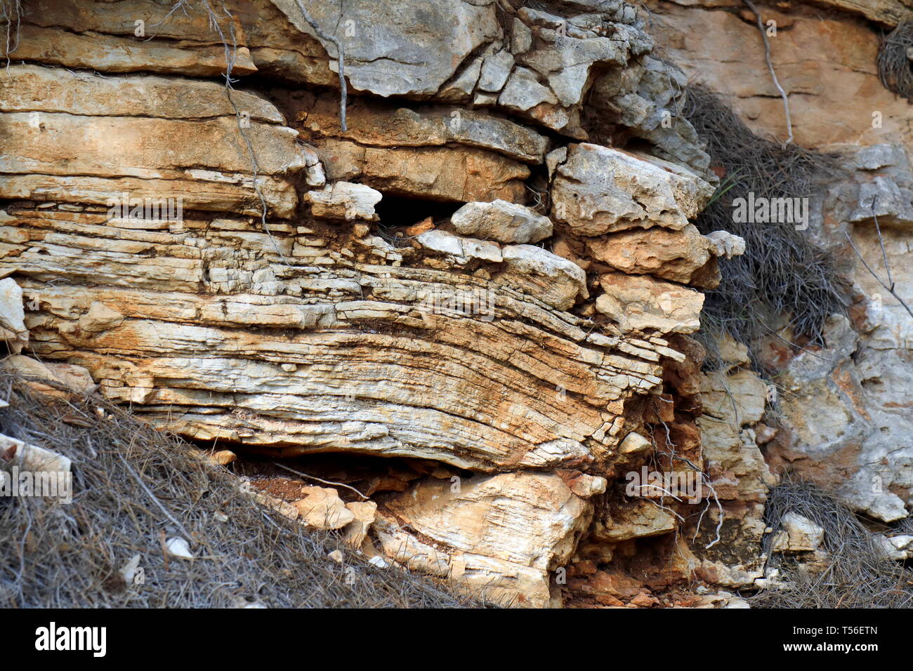 Rock formations in  Mljet island, Croatia Stock Photo