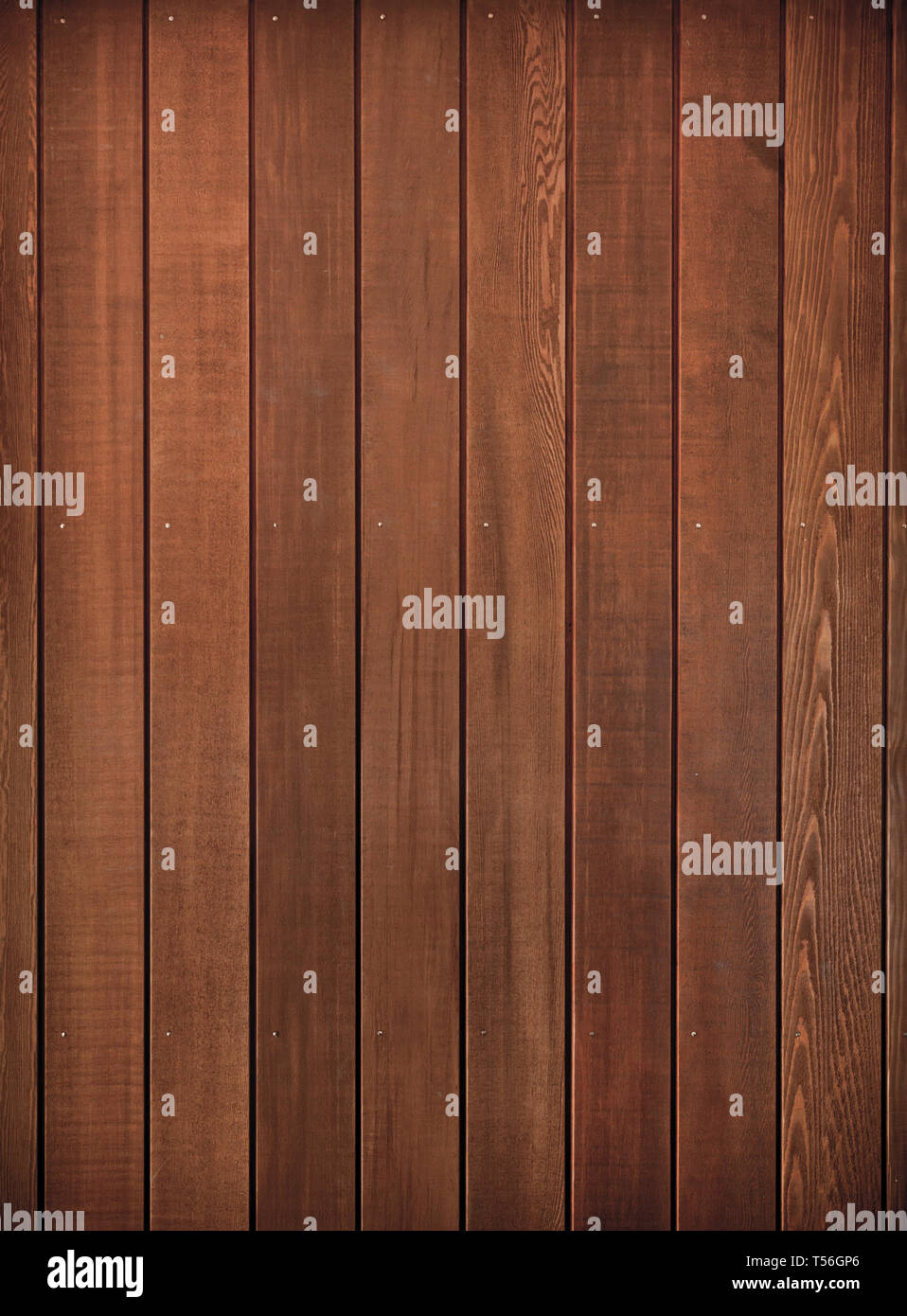 Cedar Wood On An Interior Wall Stock Photo 244163310 Alamy