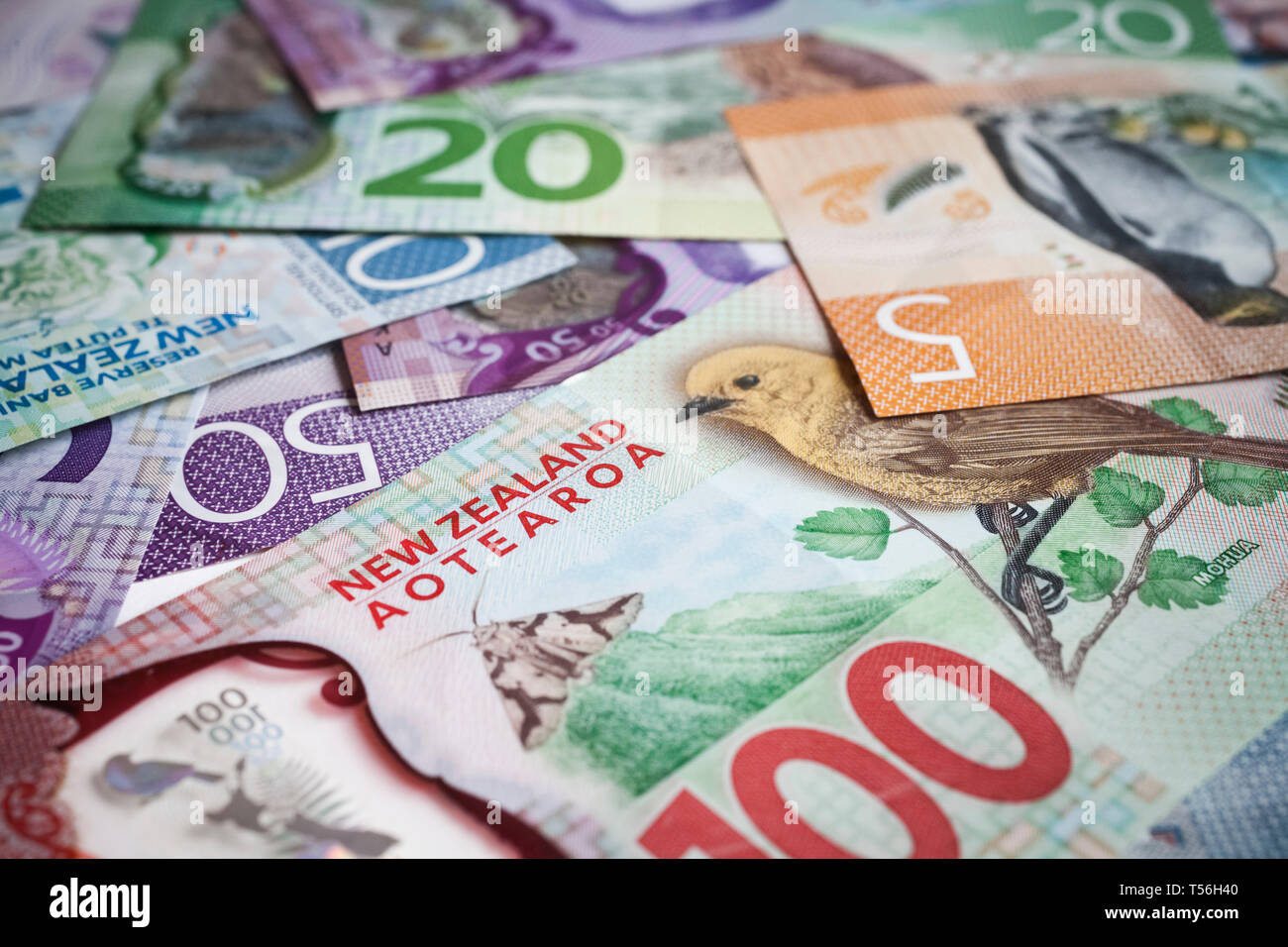 Pile of New Zealand currency laying flat on table Stock Photo