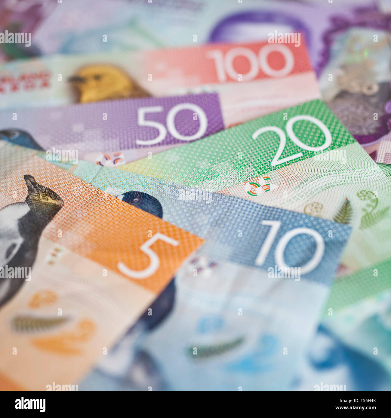 Pile of New Zealand currency laying flat on table Stock Photo