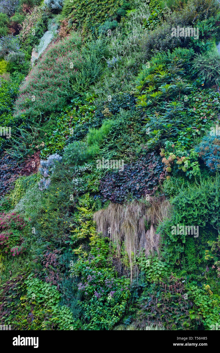 Green wall madrid hires stock photography and images Alamy