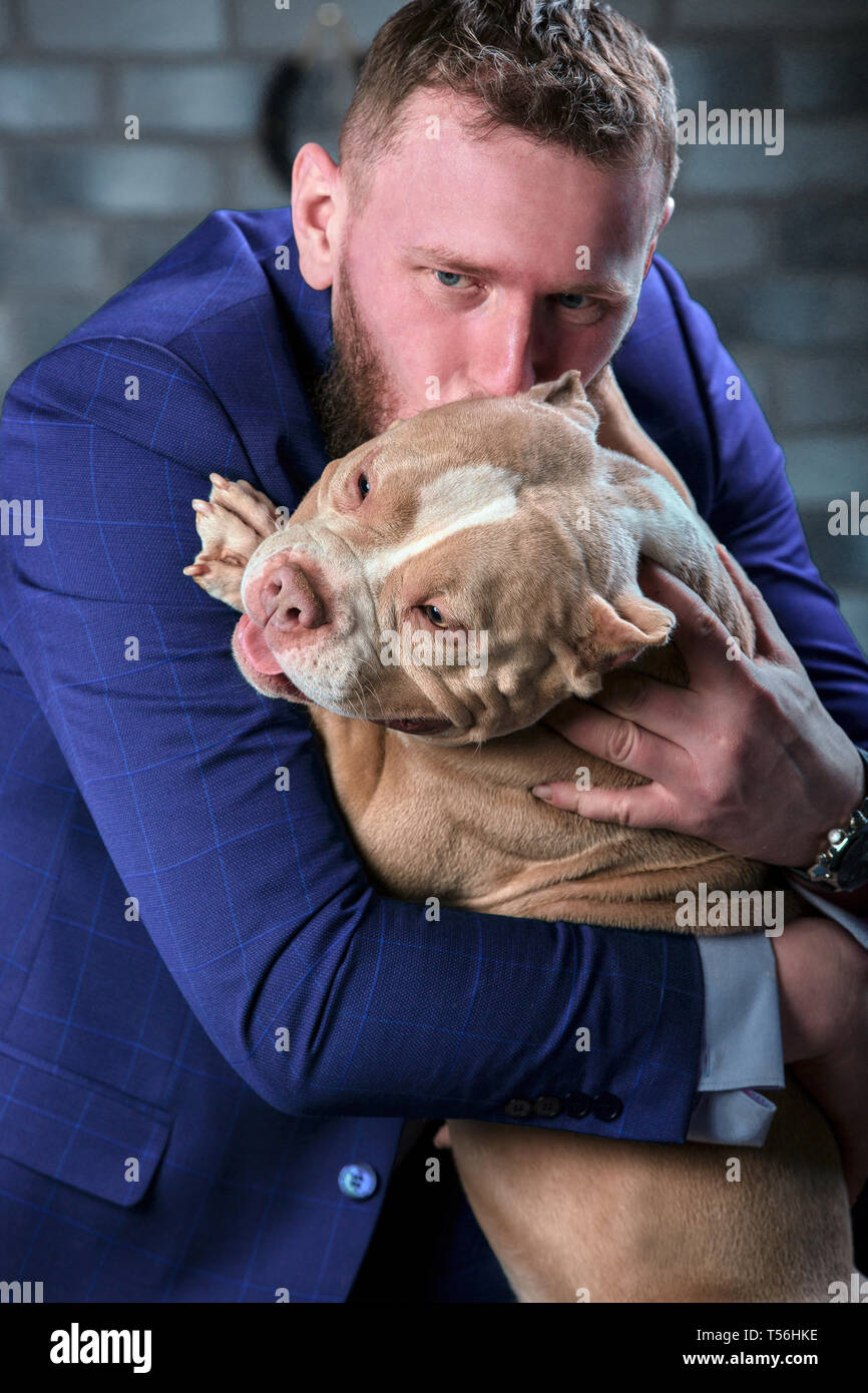 dog bulli and her owner, her loving master who holds the dog in her arms, hugs and kisses. The dog feels good on the owner's hands Stock Photo