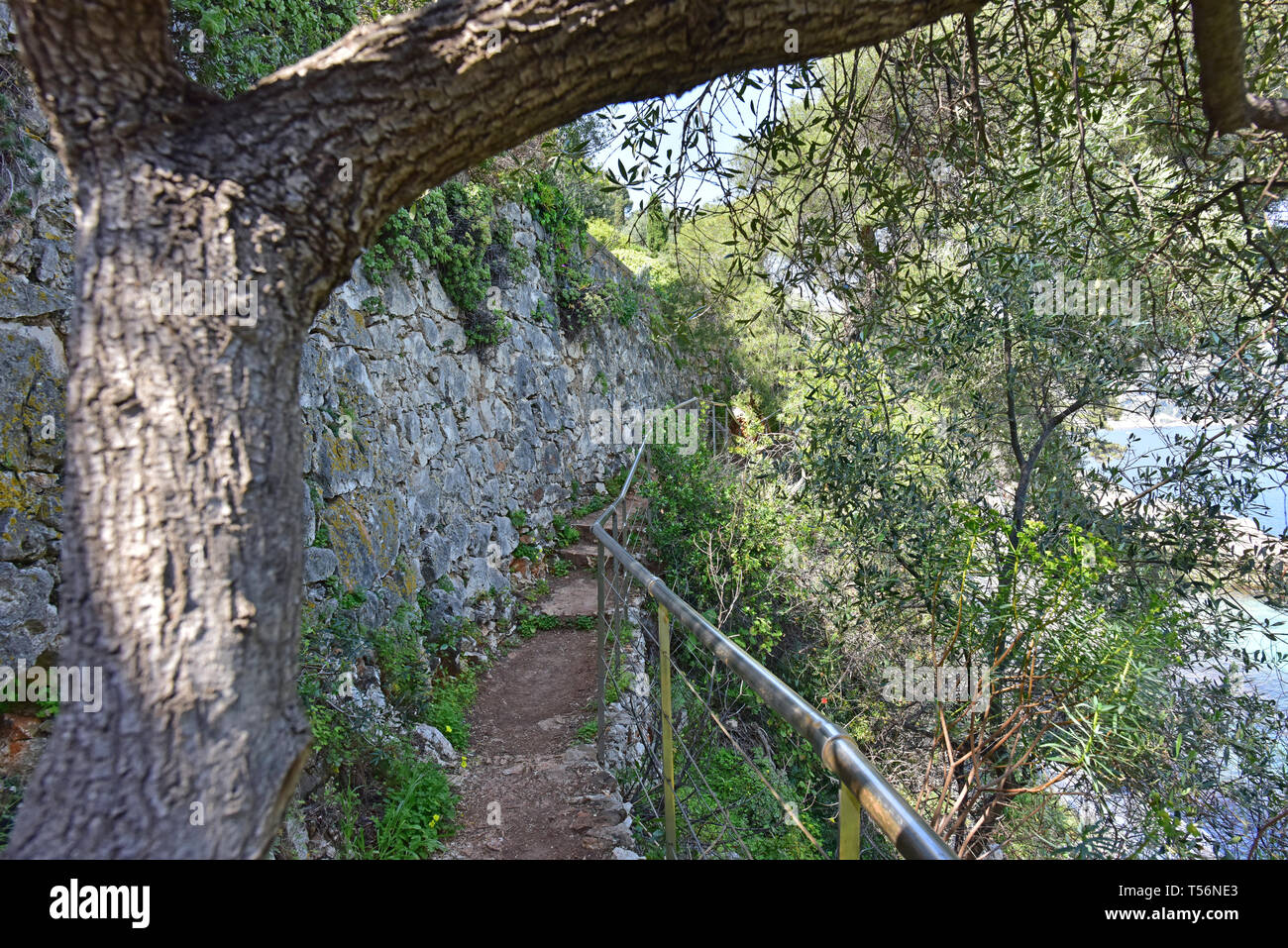 Sentier Littoral  hiking path between Villefranche and Nice, France Stock Photo