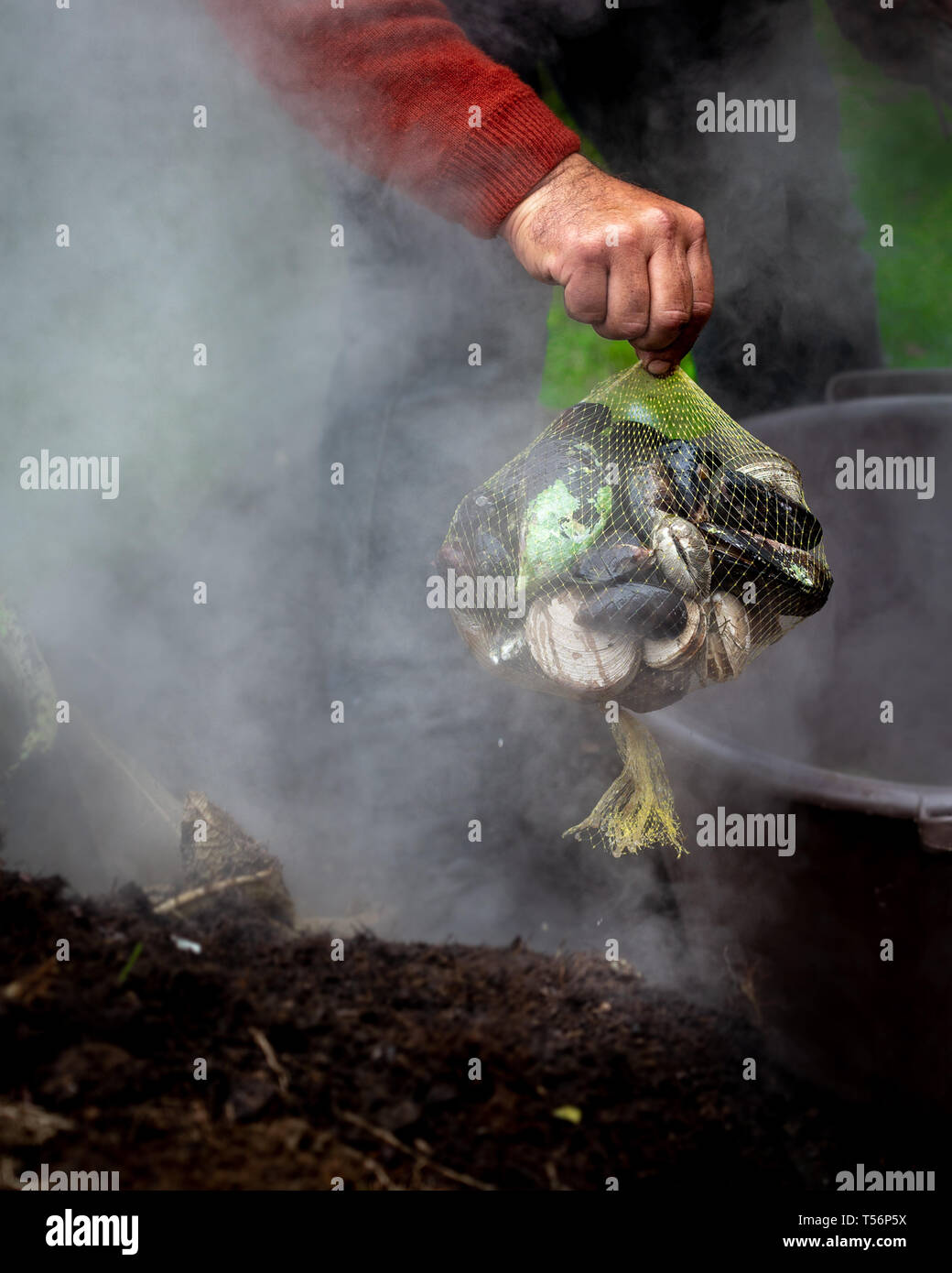 Man holding a bag with famous traditional dish of the South Chile and Chiloe Island - Curanto al Hoyo, Kuranto. Stock Photo