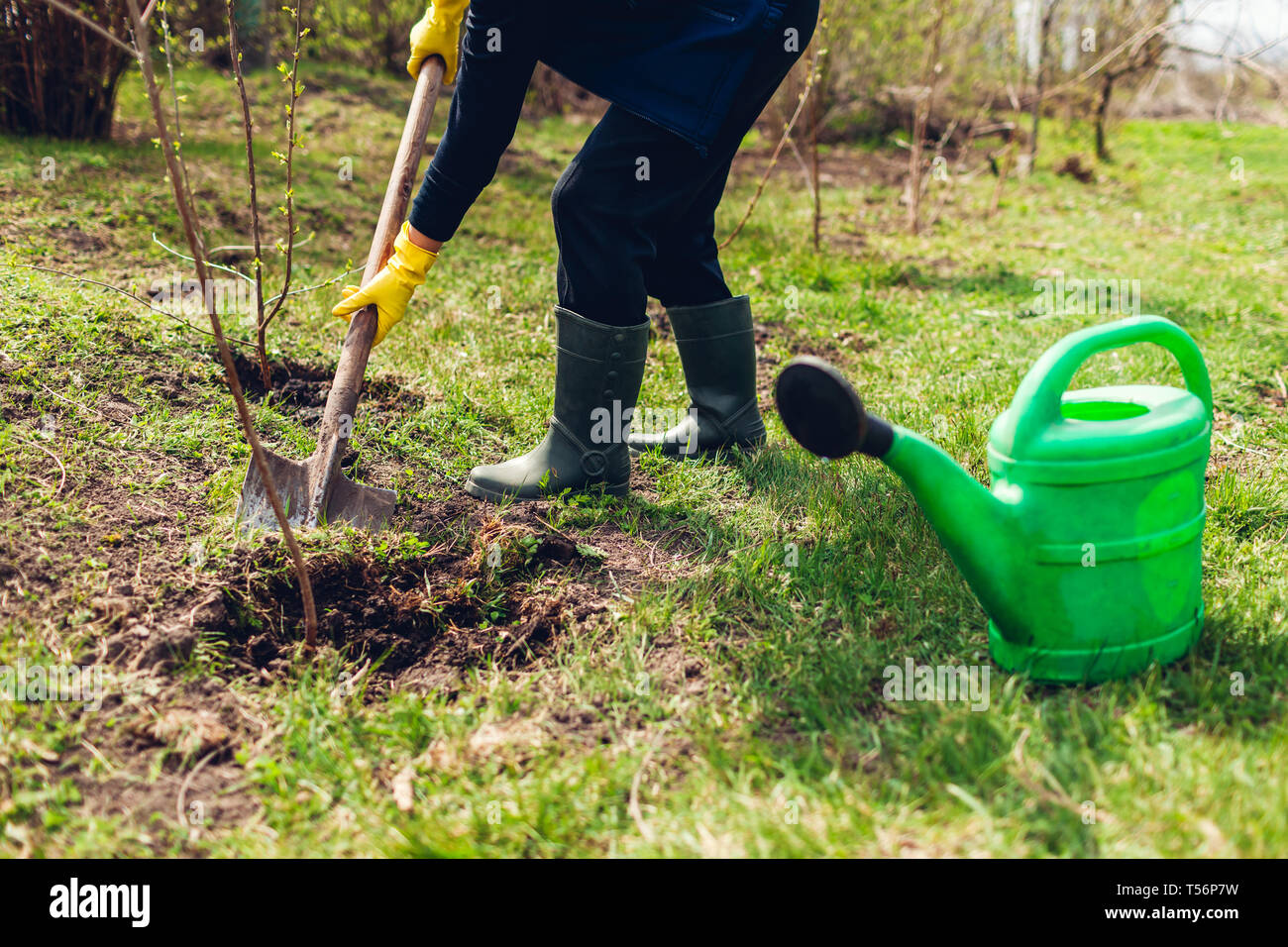 медкомиссия в садик. сад и огород. садовый инвентарь. обходной лист медкомиссия. товары для сада и огорода.