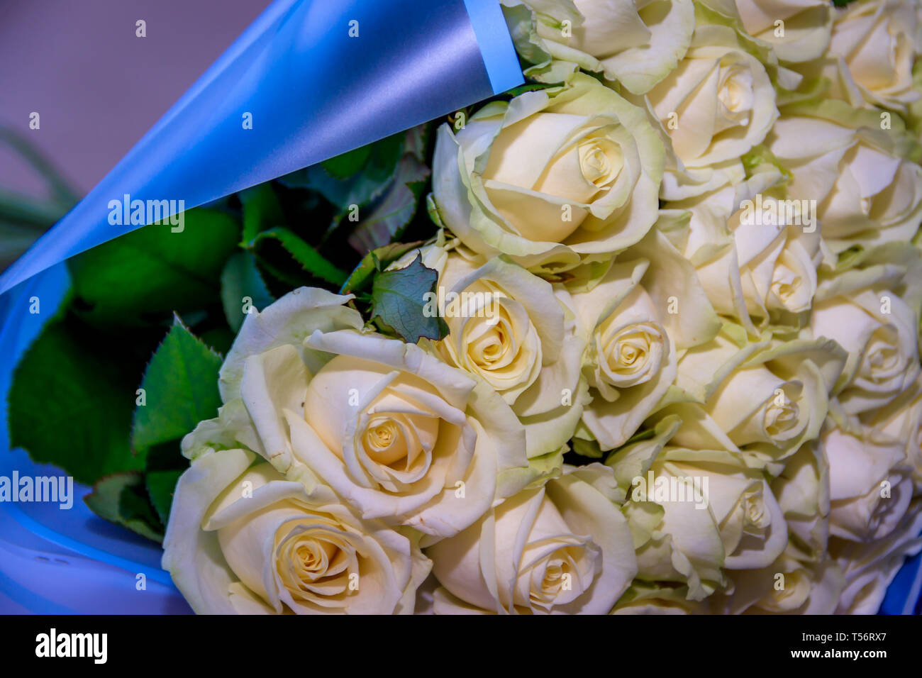 A bouquet of white roses. Lush roses. White flowers . Natural white ...