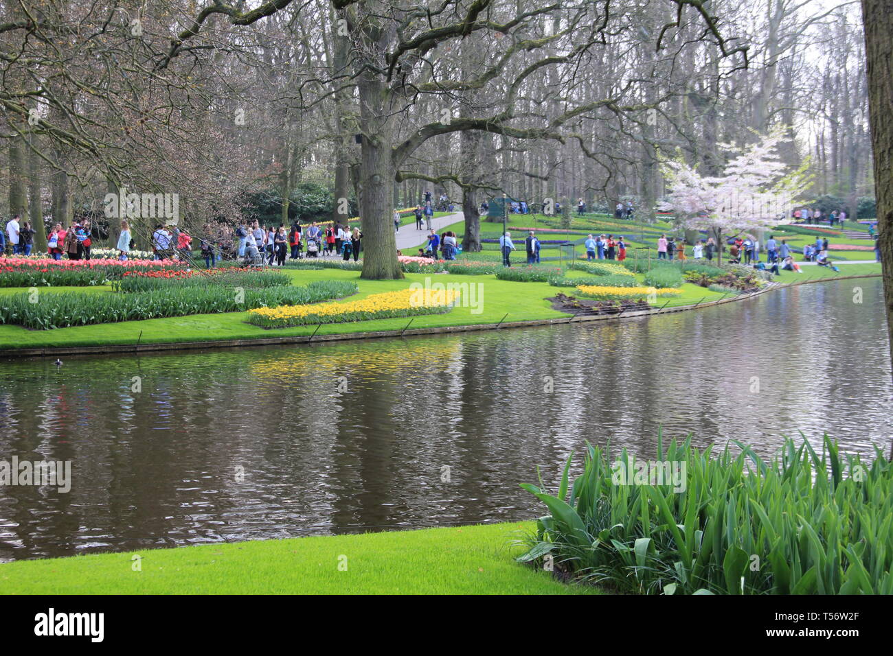 The Keukenhof, Garden of Europe Stock Photo Alamy