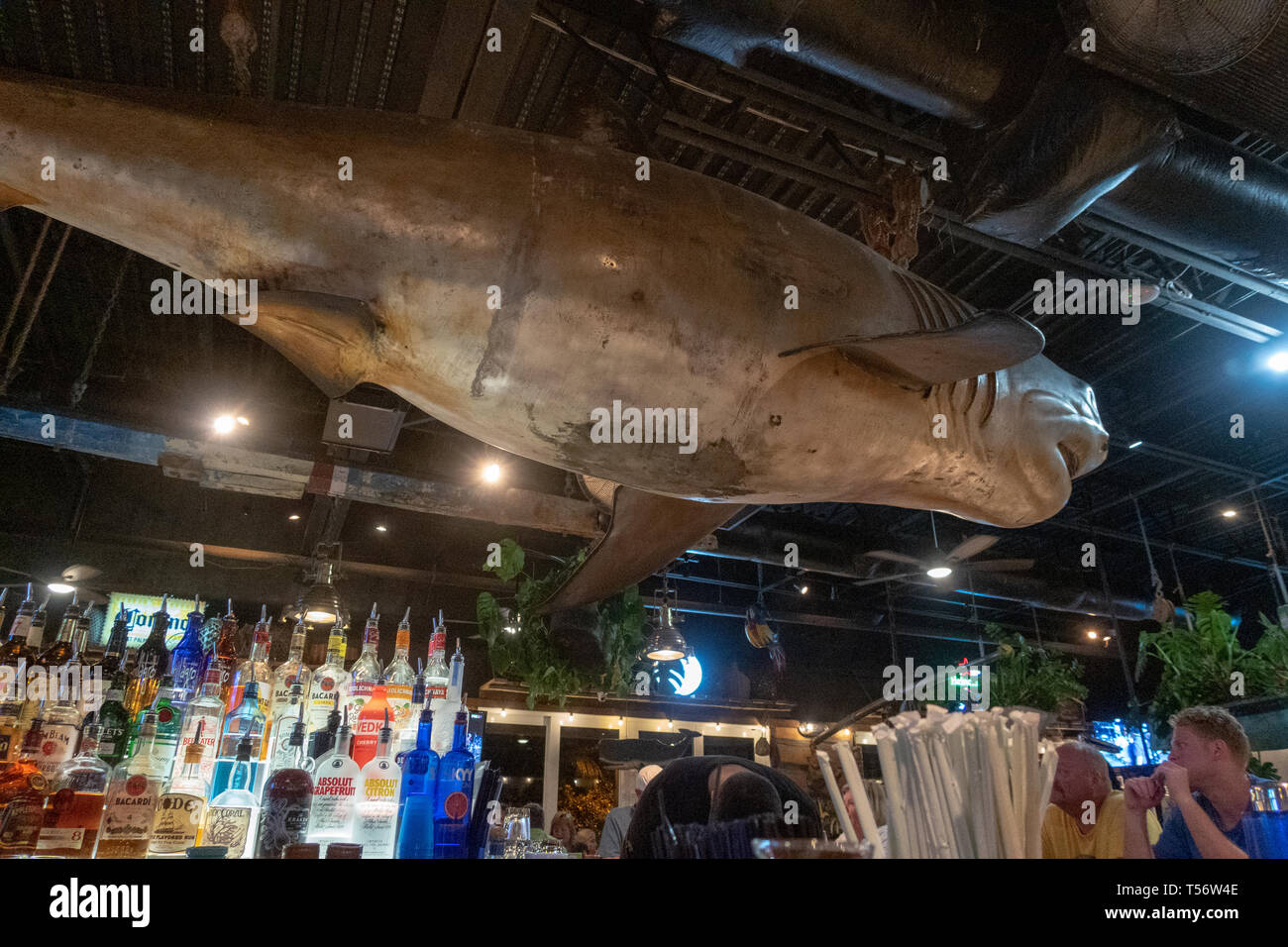 Johnny longboats hires stock photography and images Alamy