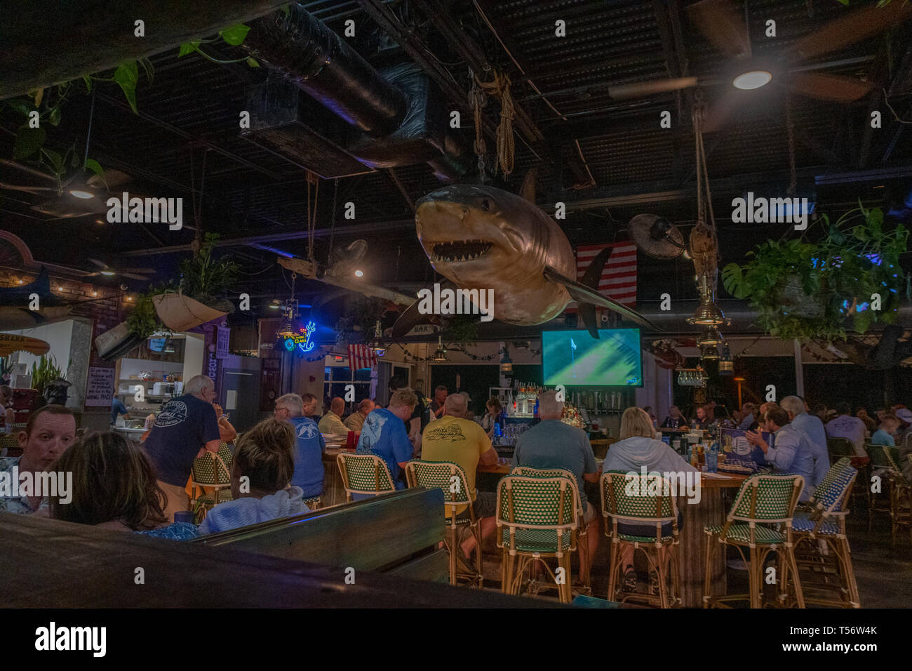 Johnny longboats hires stock photography and images Alamy