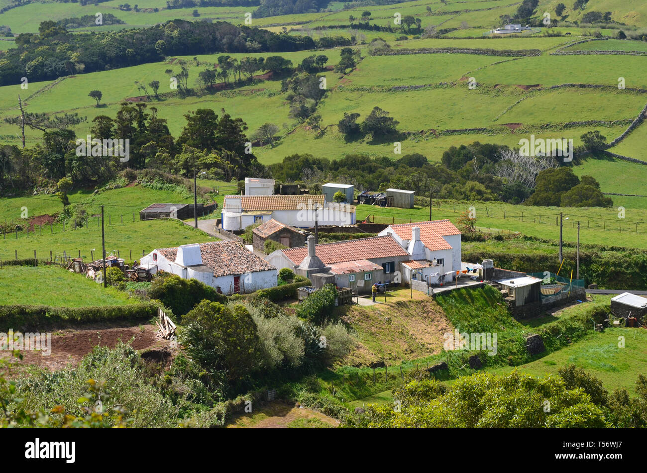 Traditional farms and houses in the small parish of Sao Pedro, in the ...