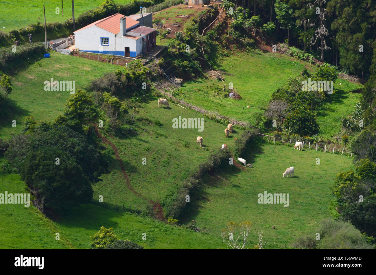 Traditional farms and houses in the small parish of Sao Pedro, in the