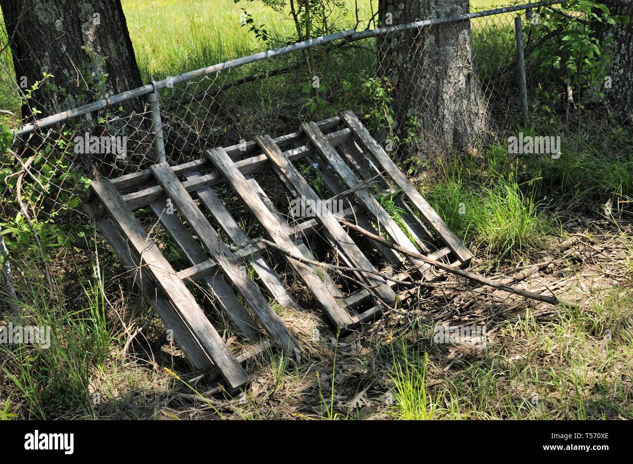 Old discarded wooden pallet left to rot by a broken fence Stock Photo