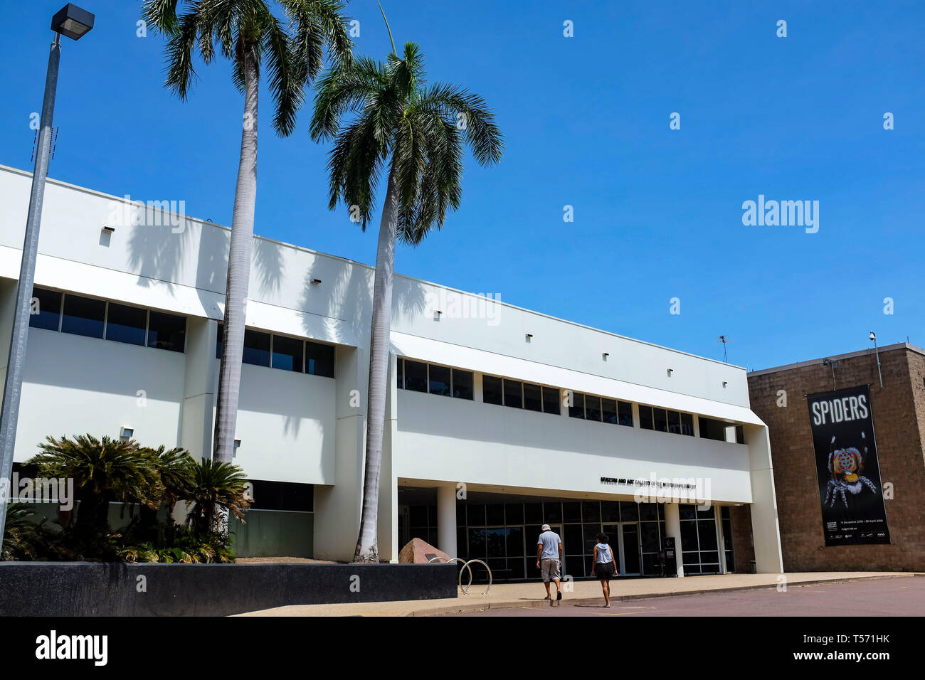 Darwin museum art gallery hires stock photography and images Alamy
