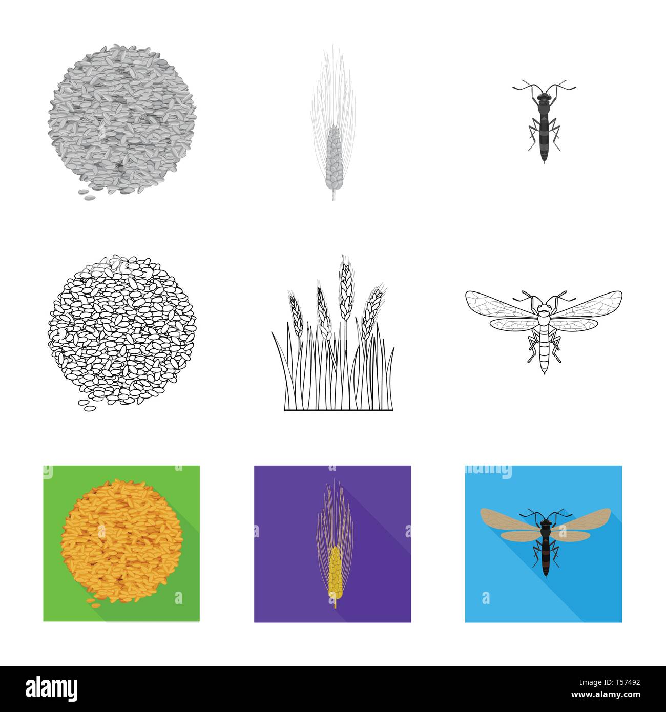 barley,fly,seeds,insect,crop,winter,pest,bread,spring,control,cereal ...