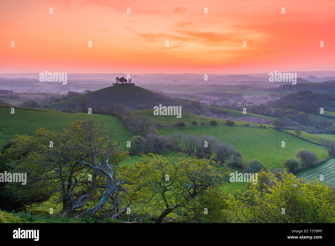 Bridport, Dorset, UK.  22nd April 2019.  UK Weather.  The sky turns bright orange at sunrise above Colmers Hill near Bridport in Dorset on Easter Monday.  Picture Credit: Graham Hunt/Alamy Live News Stock Photo