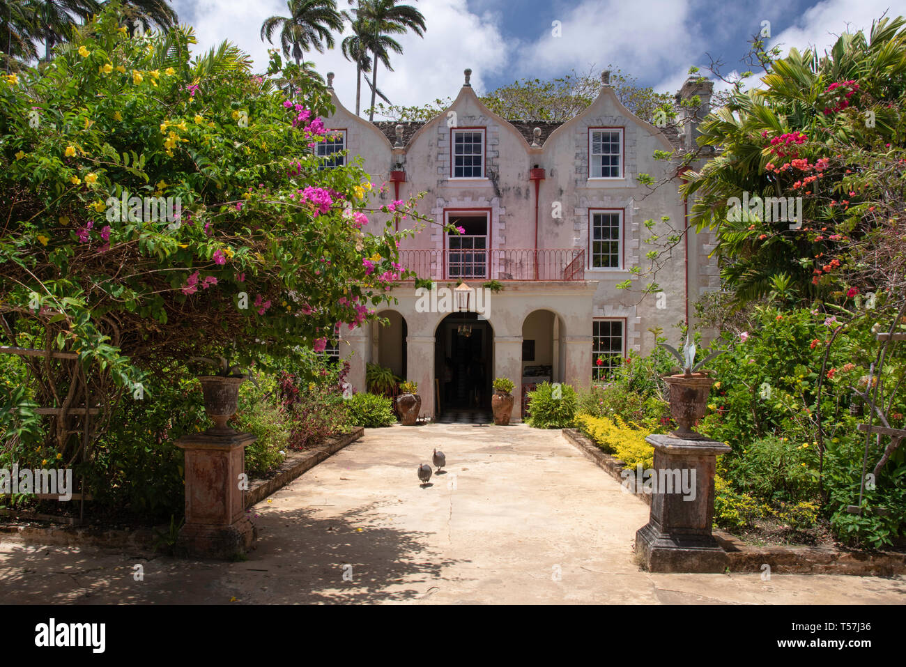 St Nicholas Abbey Sugar Cane Plantation and Rum Distillery in Saint Peter, Barbados Stock Photo