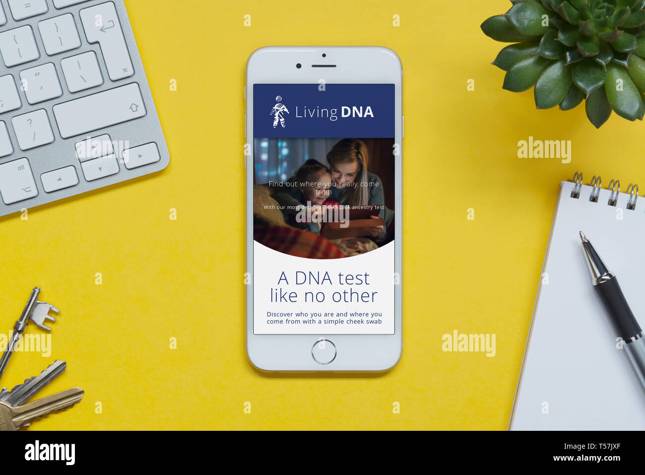 An iPhone showing the LivingDNA website rests on a yellow background table with a keyboard, keys, notepad and plant (Editorial use only). Stock Photo