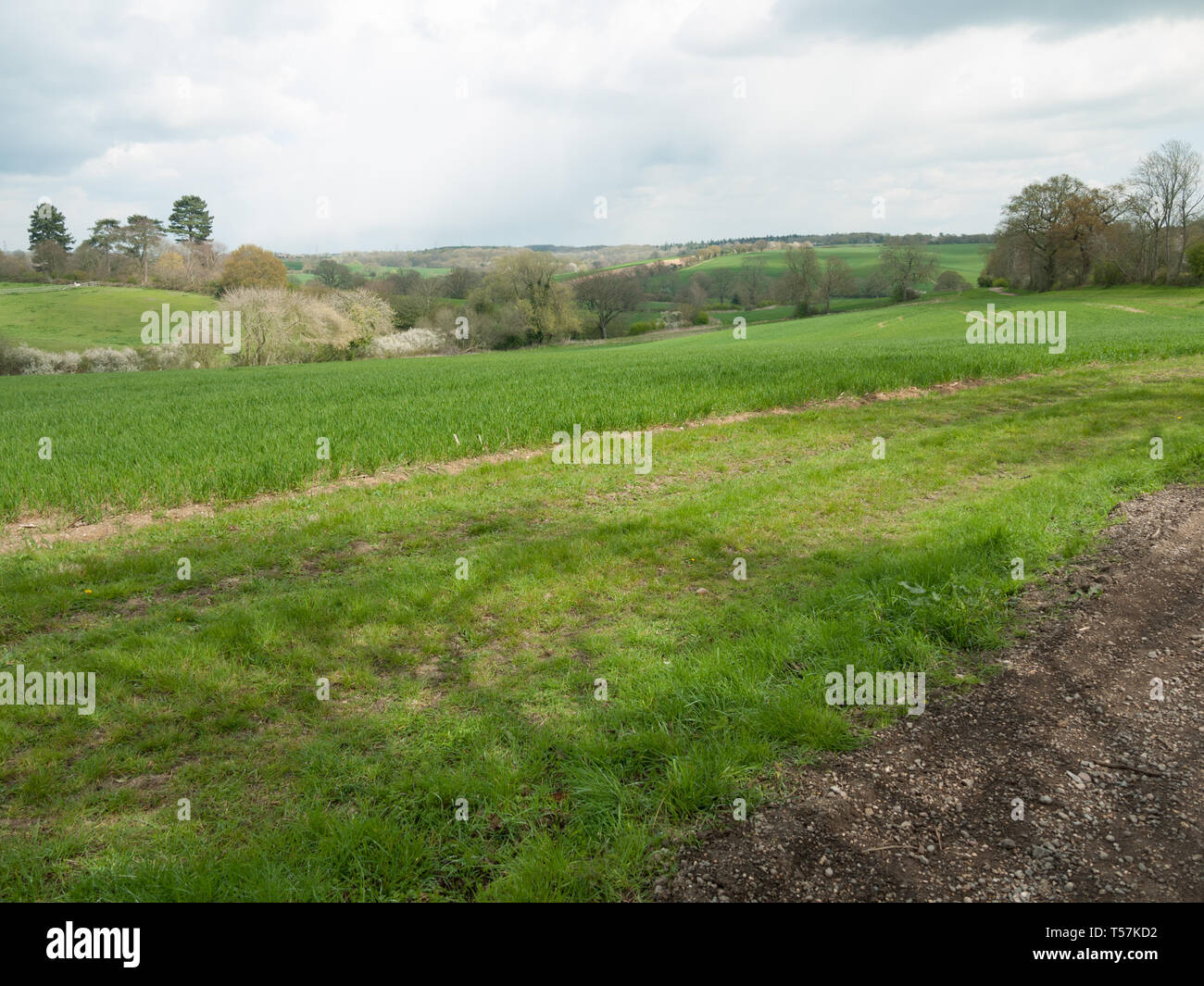 Beautiful outside country spring fields meadows trees sky farmland ...