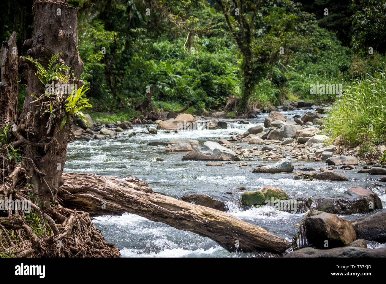 A peaceful river in Papua New Guinea, popular for gold mining, on the