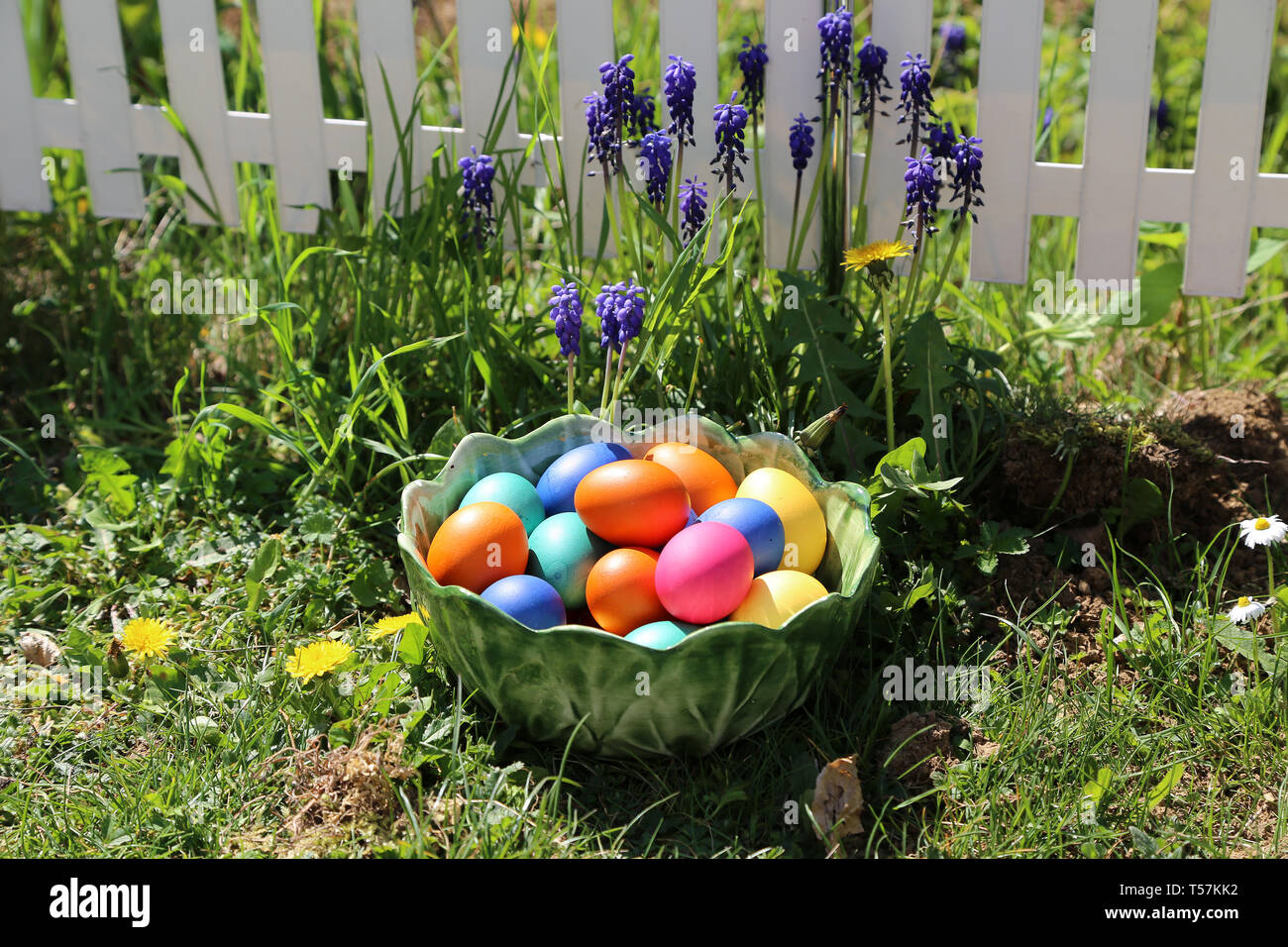 Easter traditions. Compositions with painted Easter eggs. Stock Photo