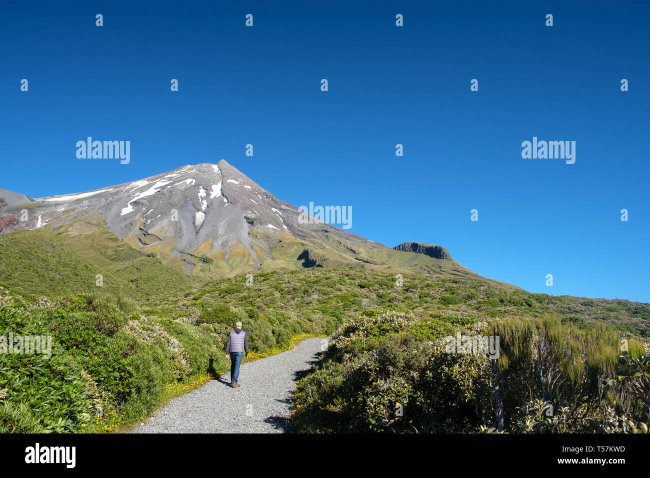 Man hiking in Mount Taranaki , Egmont National Park, near Stratford, West Coast of North Island, New Zealand Stock Photo