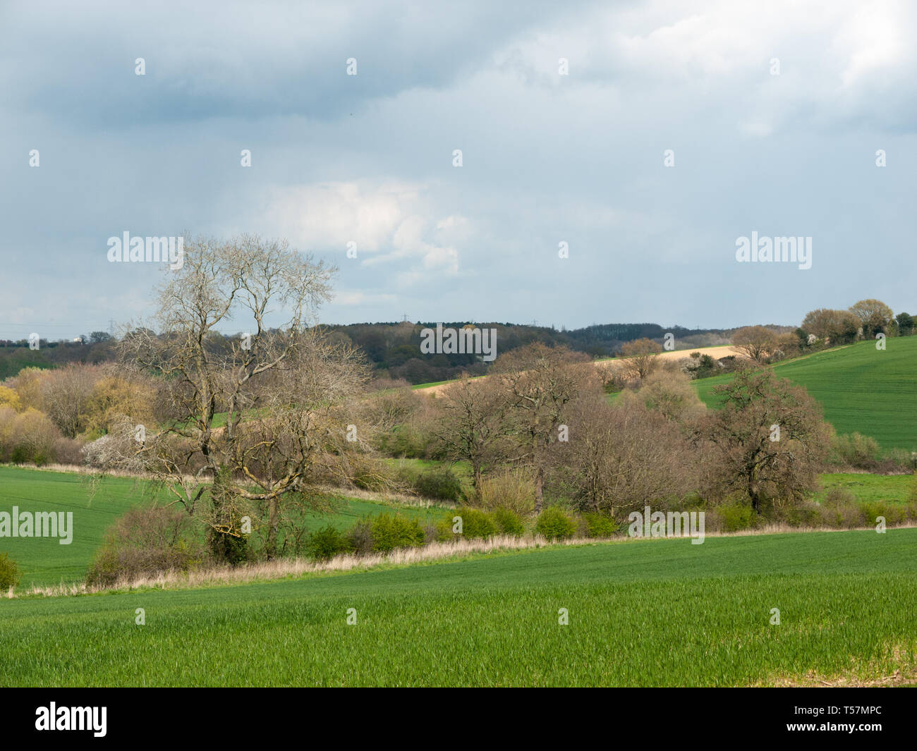 Beautiful outside country spring fields meadows trees sky farmland ...