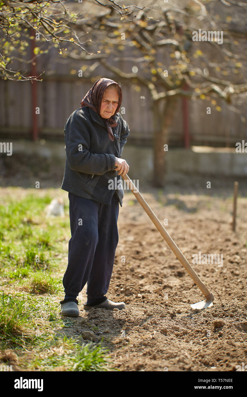 Old farmer woman working the land with a hoe Stock Photo