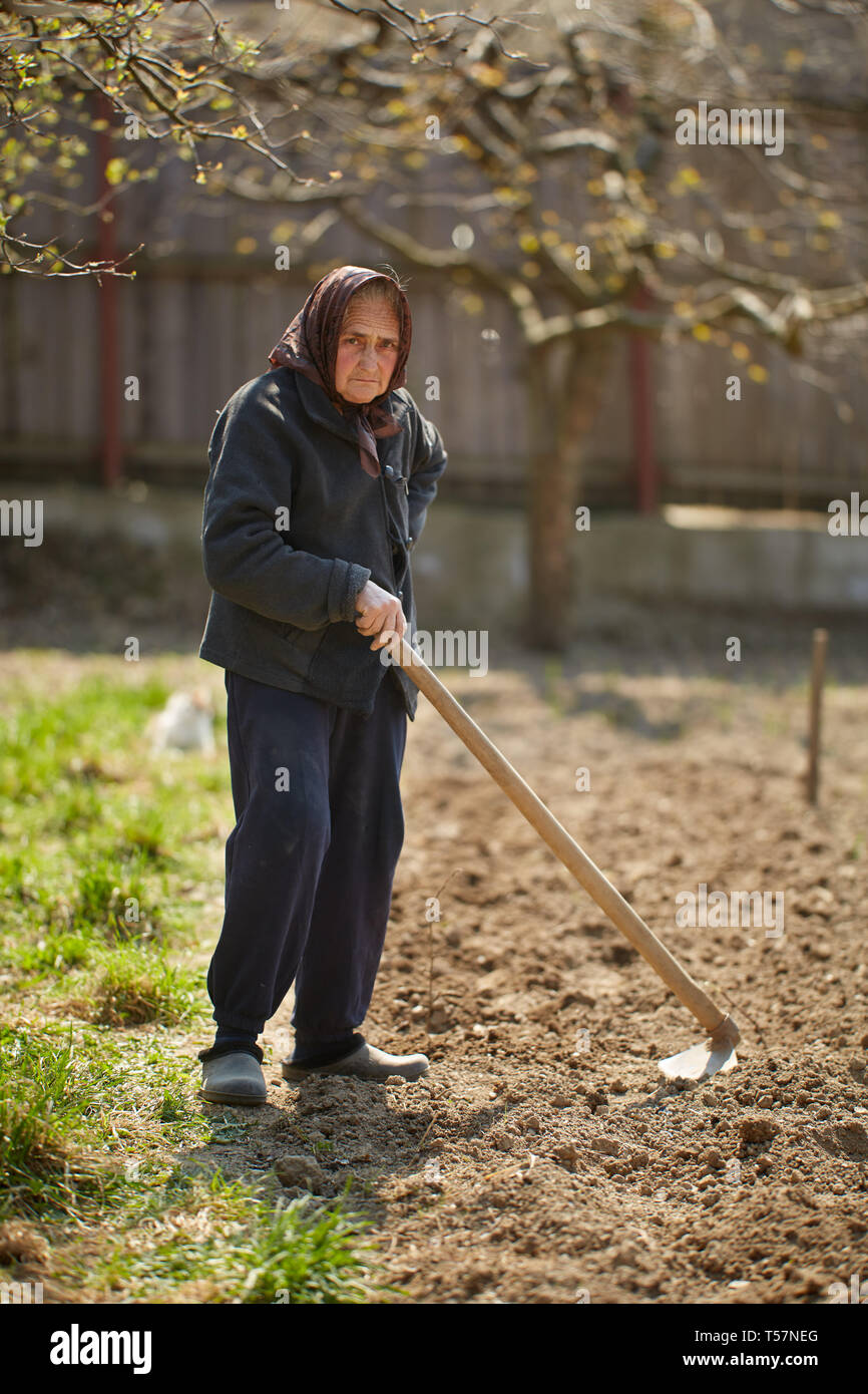 Old farmer woman working the land with a hoe Stock Photo