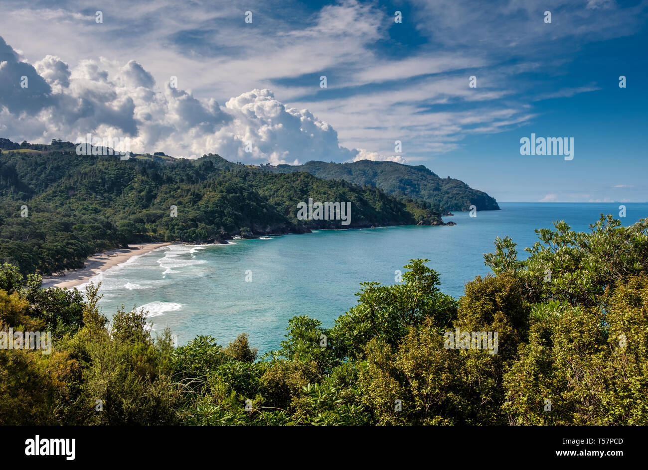Isolated beach Orokawa Scenic Reserve, near Waihi Beach, Bay of Plenty, North Island, New
