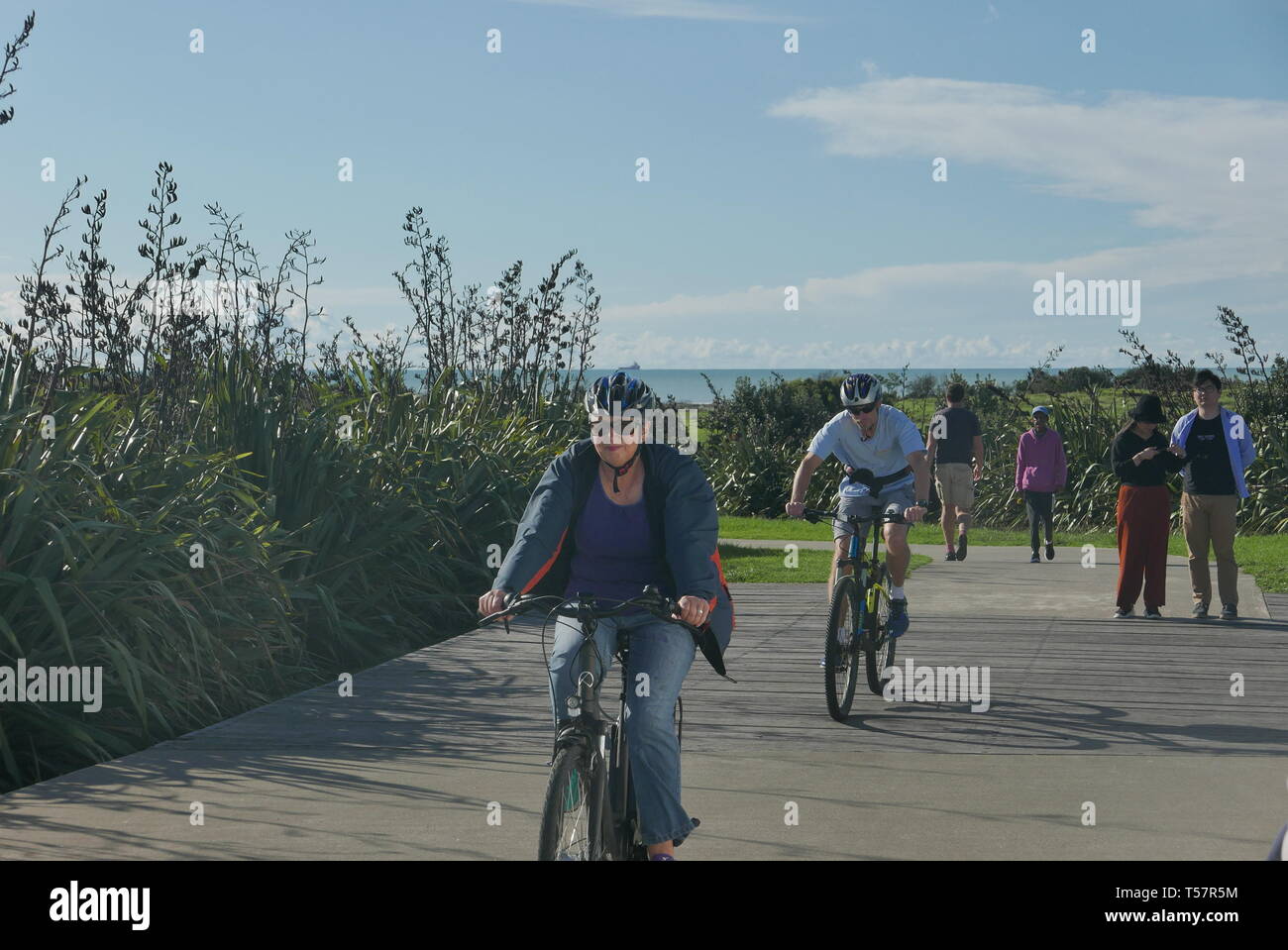 bike shop new plymouth