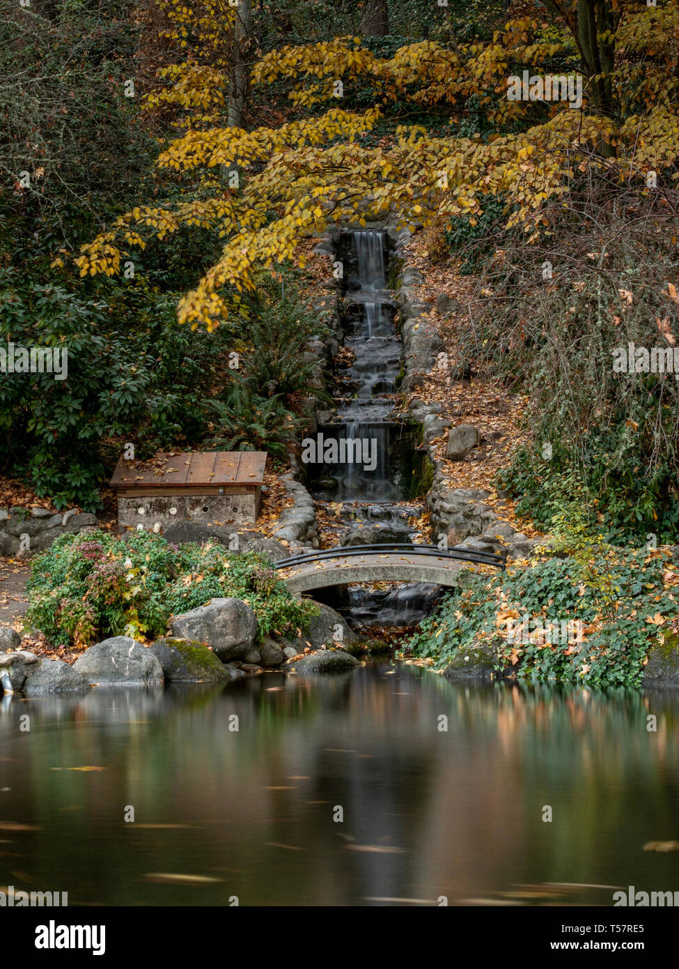 are dogs allowed in lithia park ashland oregon