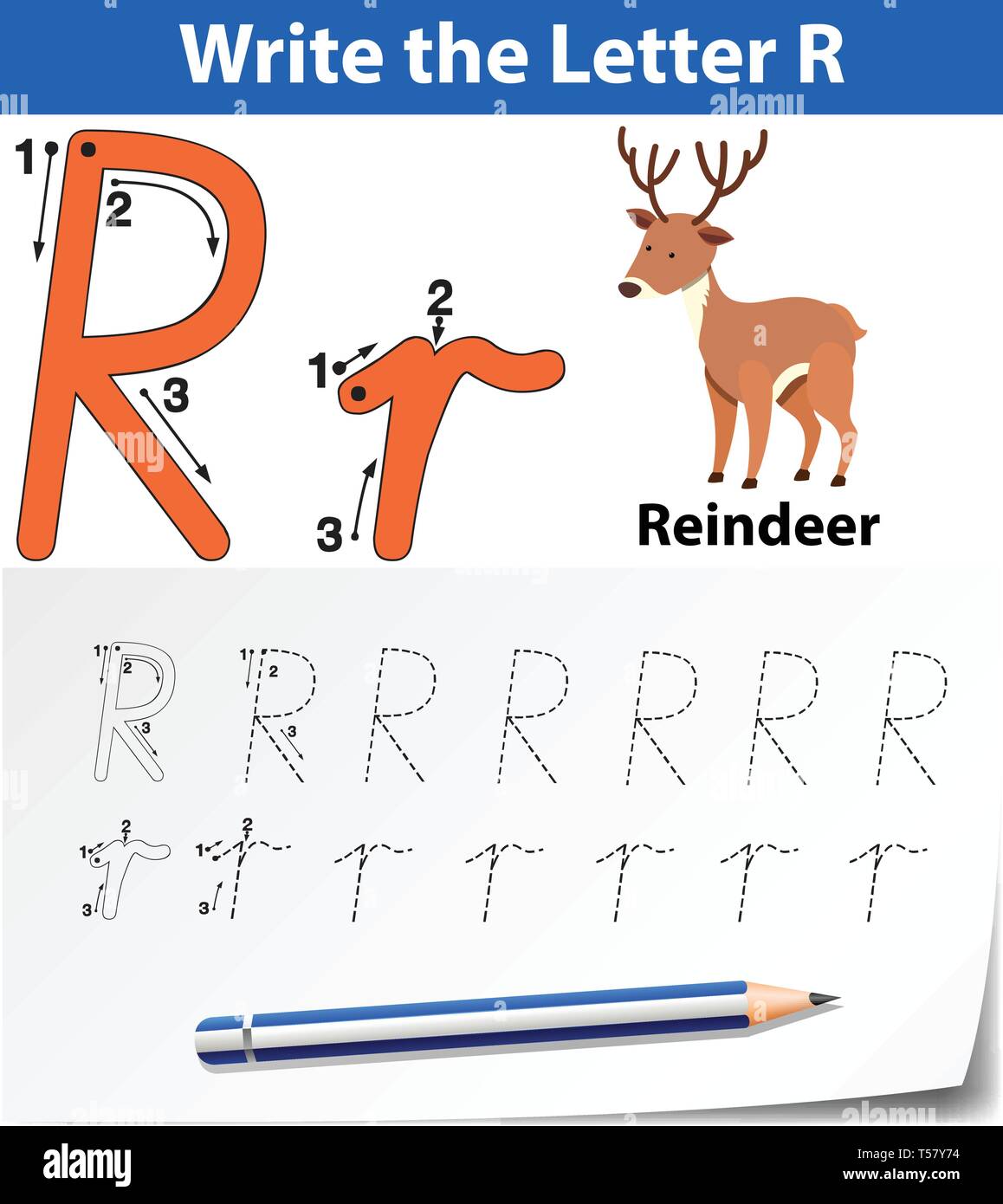 Letter R tracing alphabet worksheets illustration Stock Vector Image ...