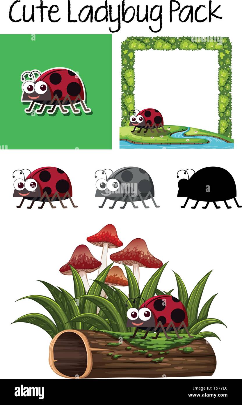Set of ladybug character illustration Stock Vector Image & Art - Alamy