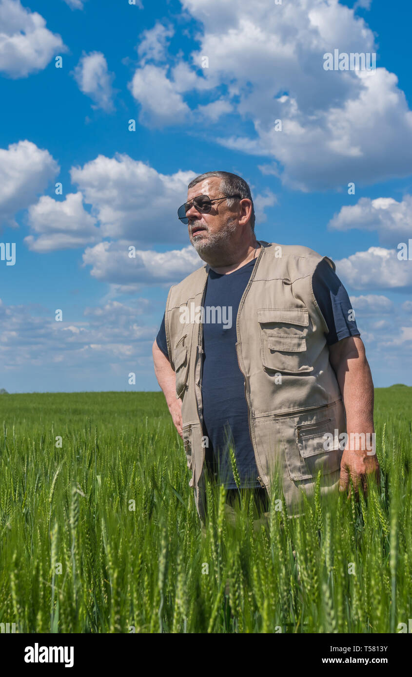 Farmer looking at green crops hi-res stock photography and images - Alamy