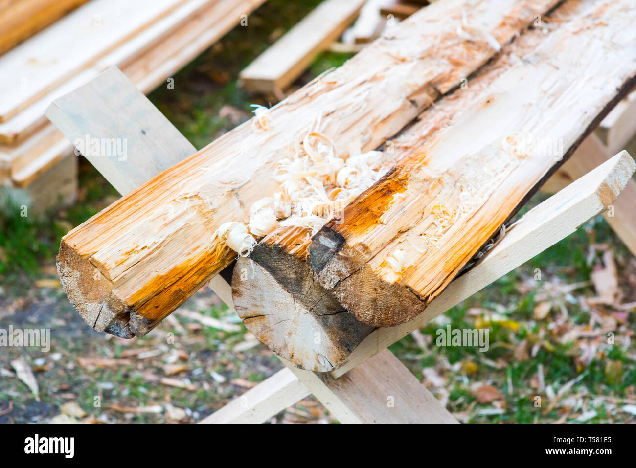 Wood chips. Natural bright yellow colored wooden shavings for