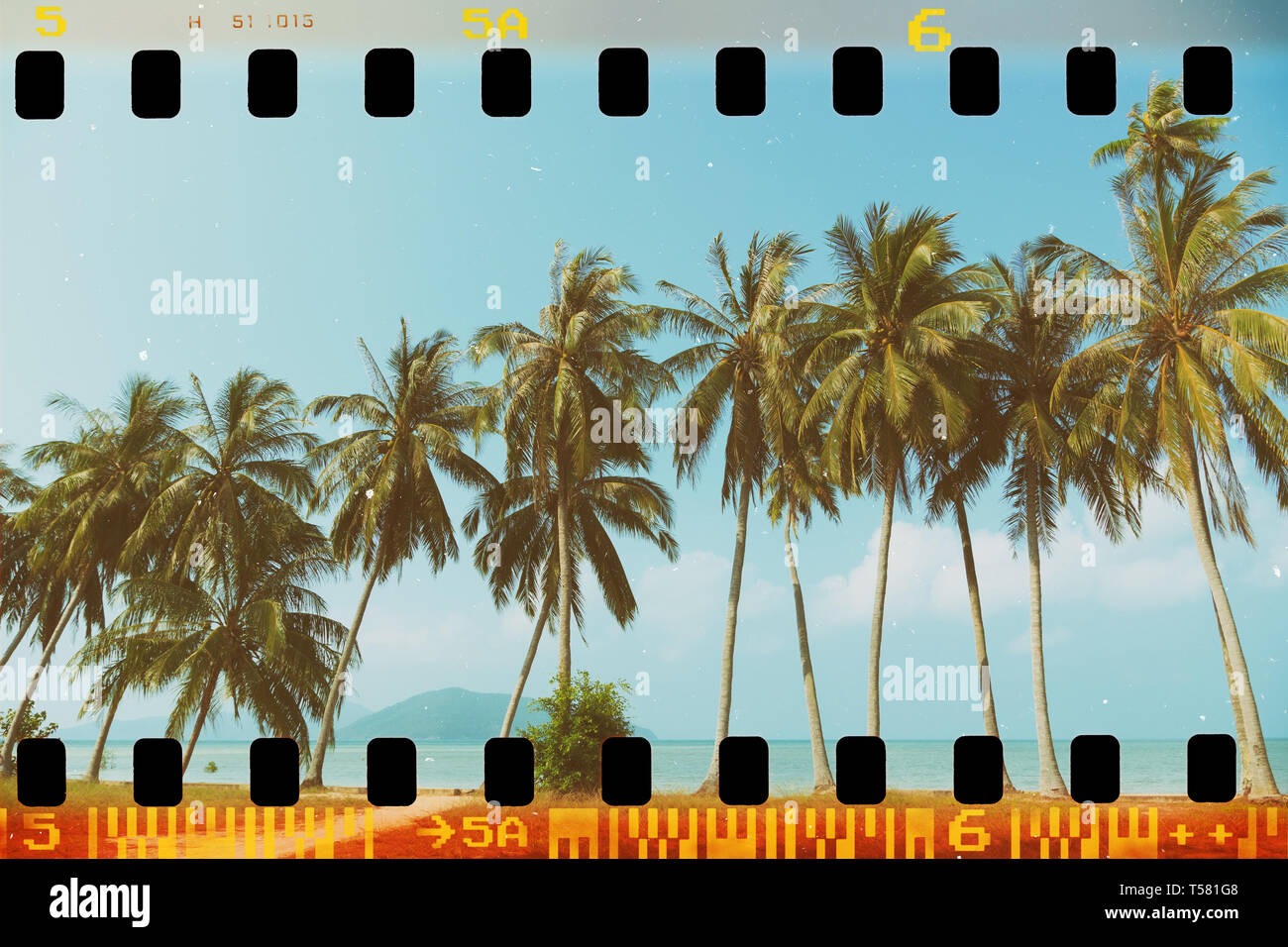 Coconut Trees Film Scan High Resolution Stock Photography And Images Alamy