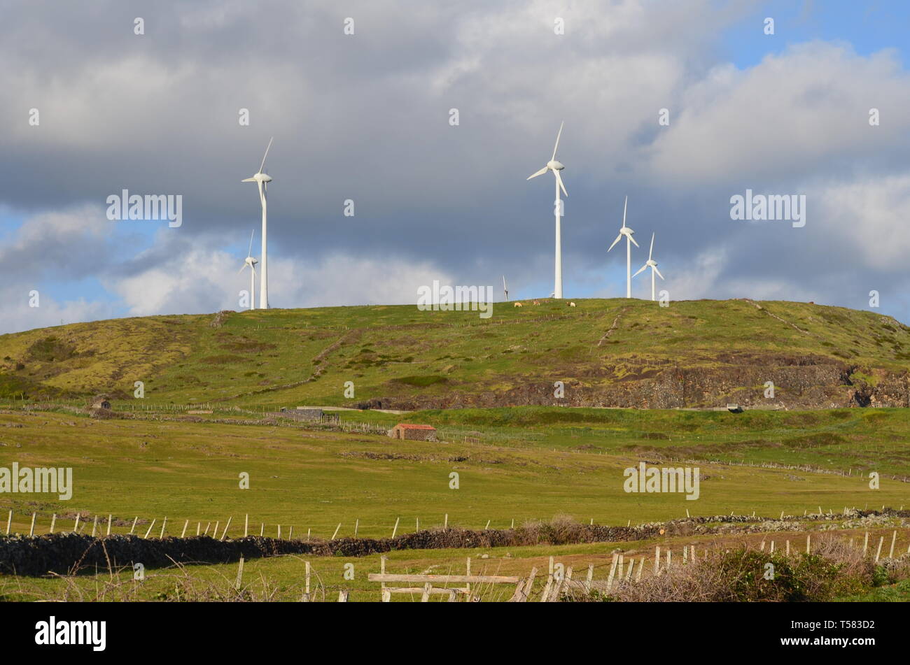 Wind turbines in Santa Maria island, Azores archipelago Stock Photo