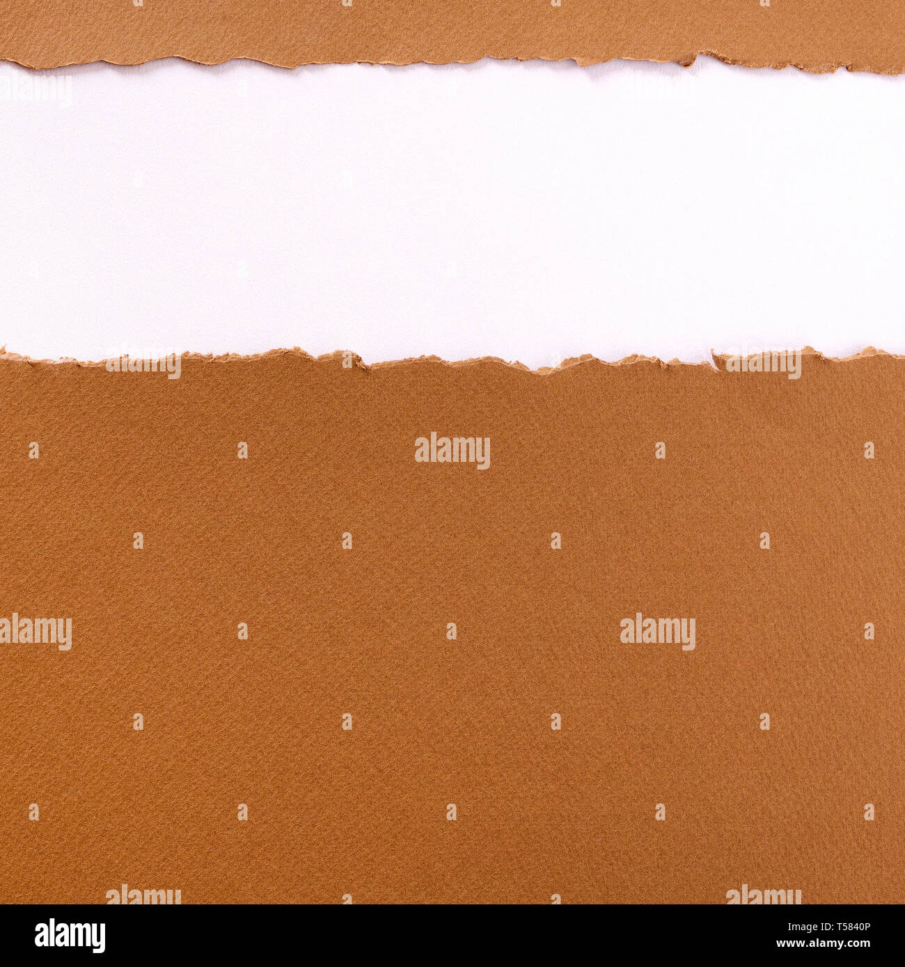 Torn brown paper strip background frame Stock Photo