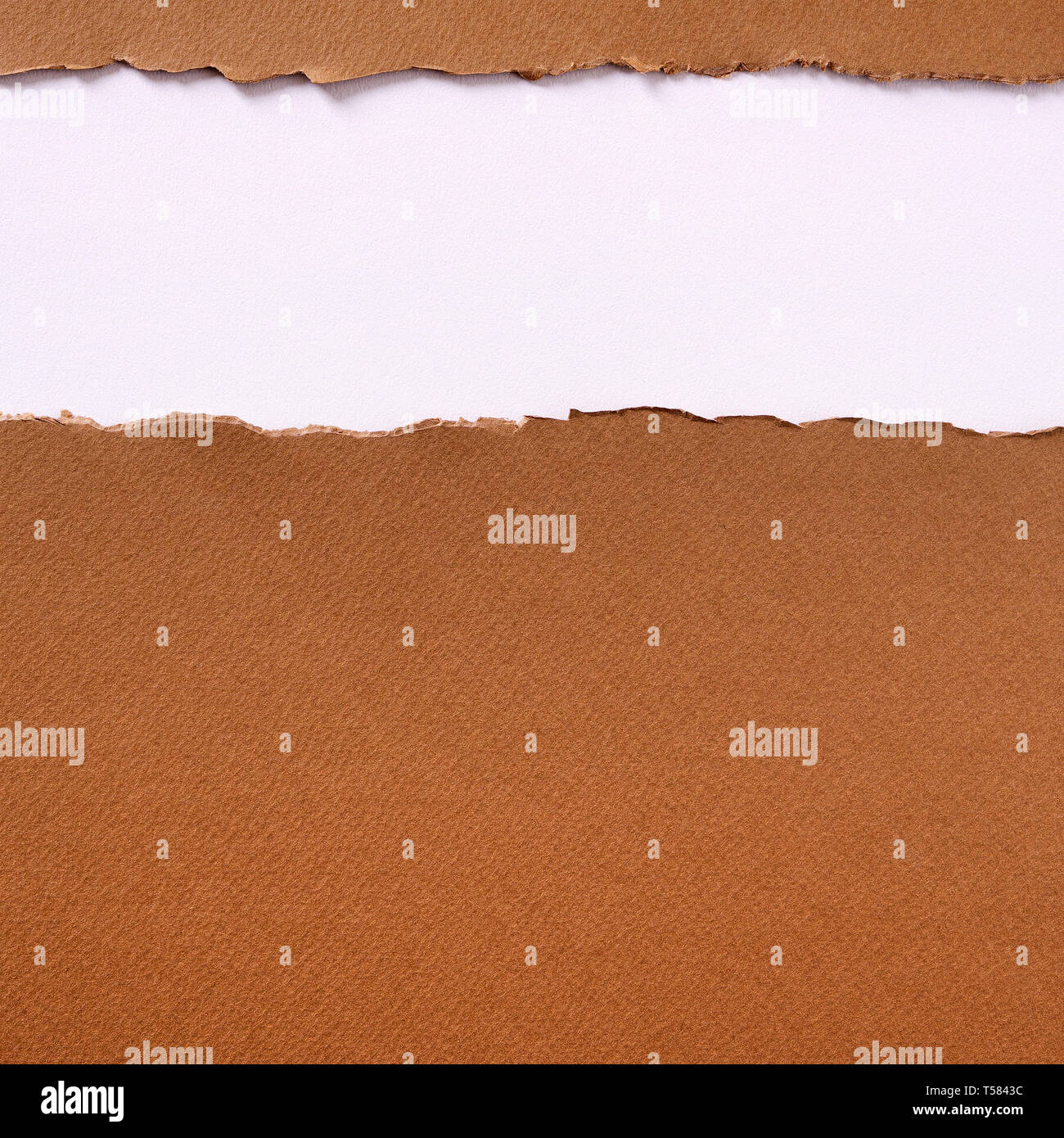 Torn brown paper strip top edge header background frame Stock Photo