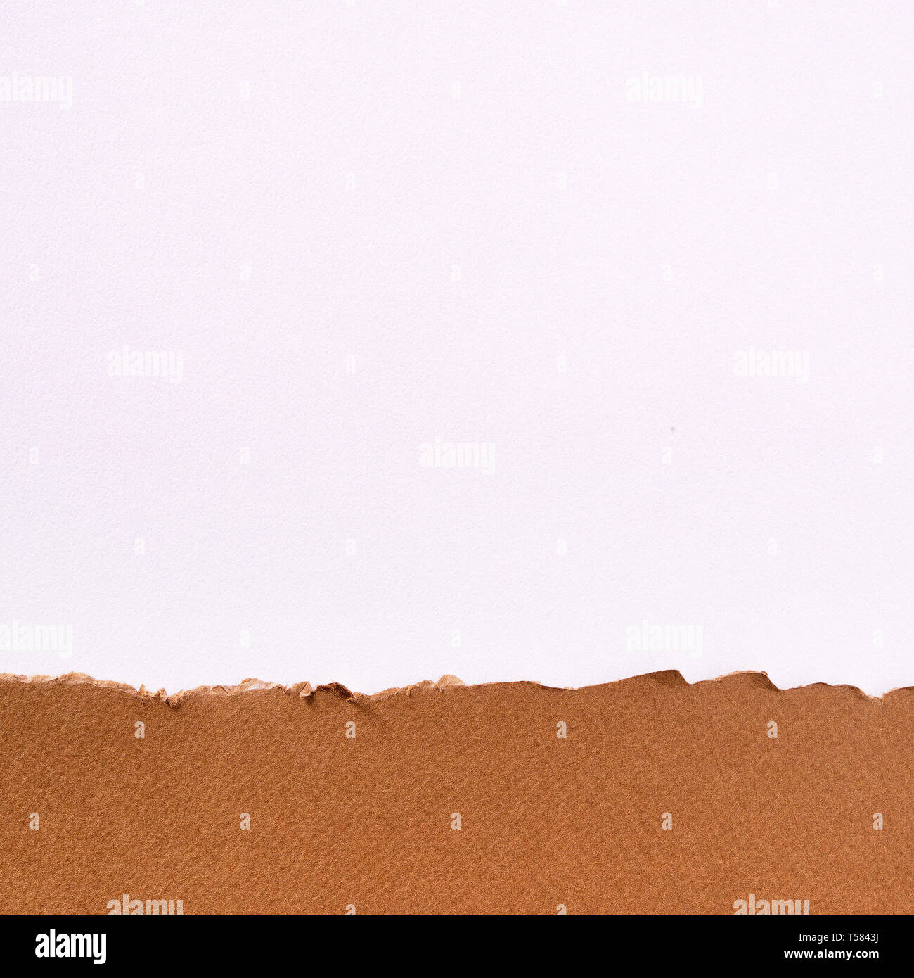 Torn brown paper border white background Stock Photo