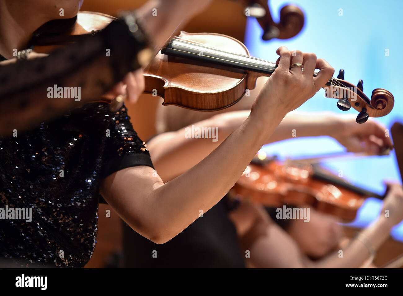 Violin players hand detail during philharmonic orchestra performance Stock Photo