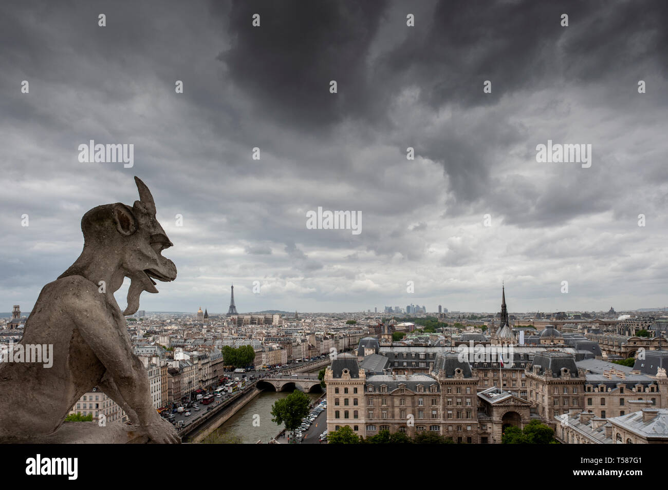 Gargoyles on Notre Dame cathedral, Paris, France Stock Photo