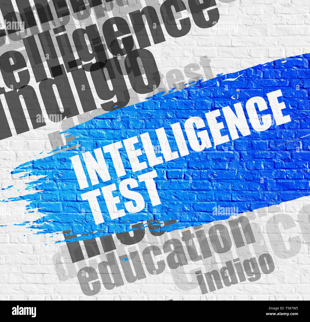 Intelligence Test on White Brickwall. Wordcloud Concept. Stock Photo