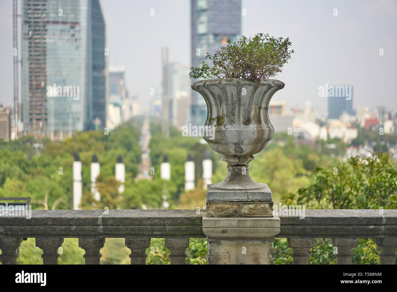 View from Chapultepec castle Stock Photo