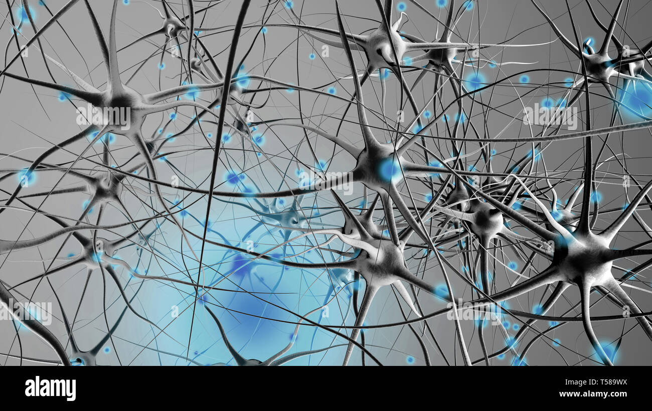 3D rendered Illustration of a biological neural cell network ...