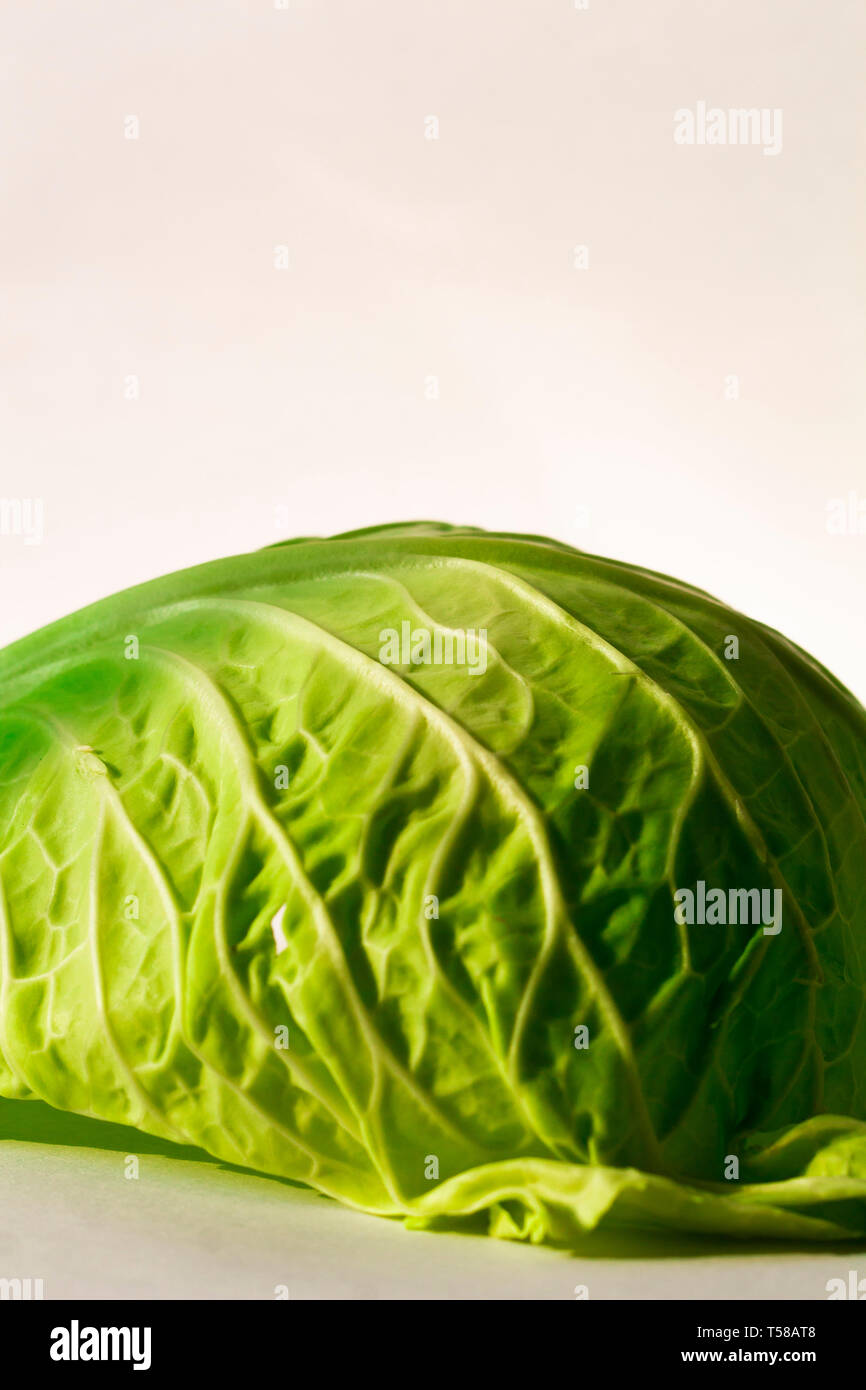 Abstract pictures of green vegetables. Stock Photo
